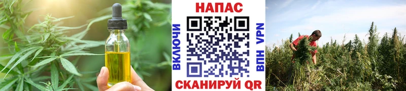 Cannafood марихуана  гидра зеркало  Порхов 