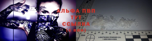 PSILOCYBIN Алзамай