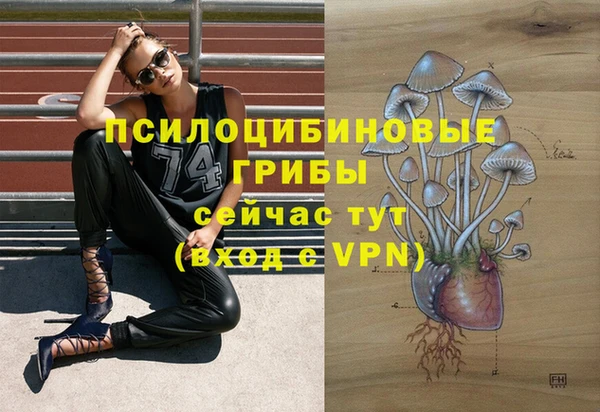 PSILOCYBIN Алзамай