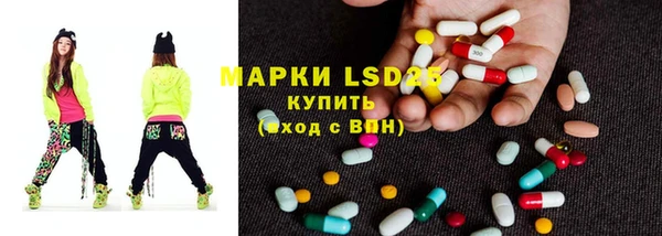 PSILOCYBIN Алзамай
