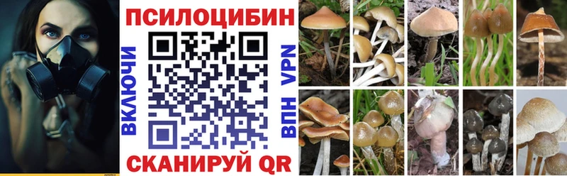 как найти Порхов Псилоцибиновые грибы ЛСД